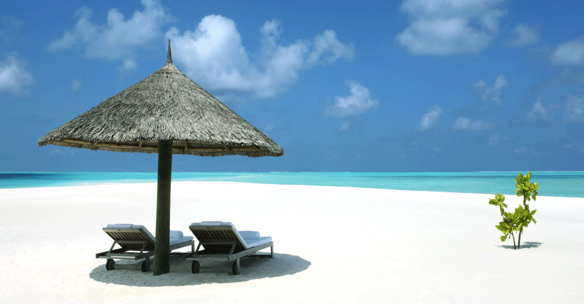 Luxury Holidays Turks & Caicos Resorts in Turks and Caicos