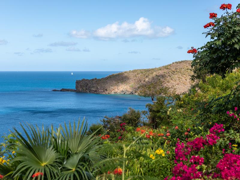 Guana Island , Guana Island  