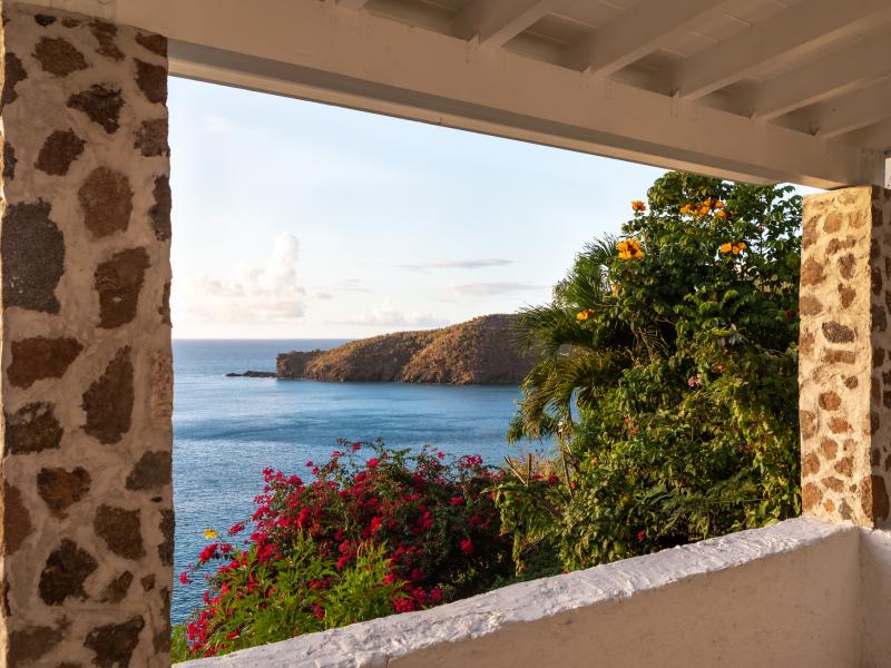 Guana Island , Guana Island  