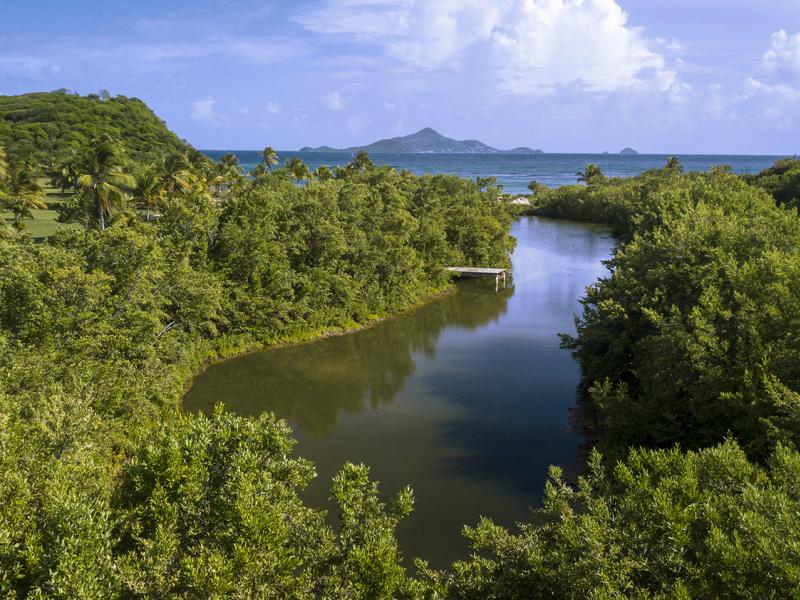 Palm Island Resort  , Palm Island  